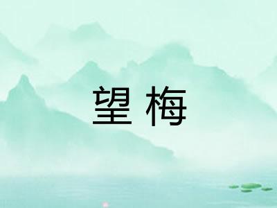 望梅