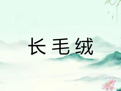长毛绒