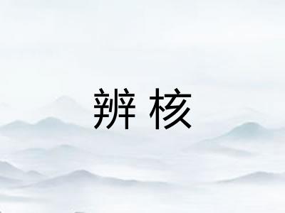 辨核