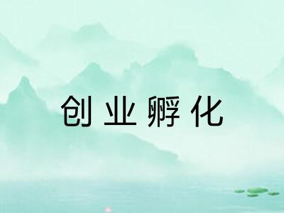 创业孵化