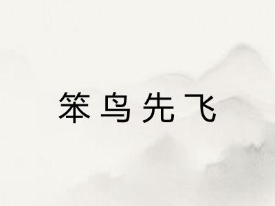 笨鸟先飞