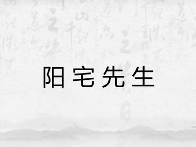 阳宅先生