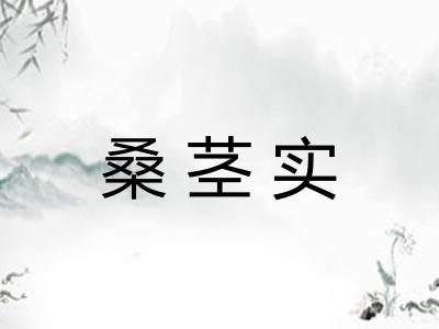 桑茎实