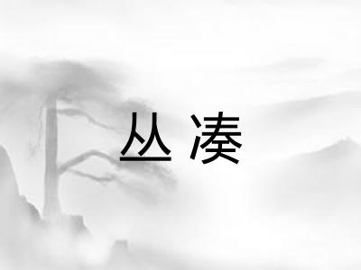 丛凑