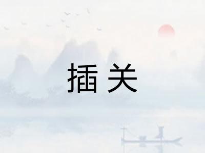 插关