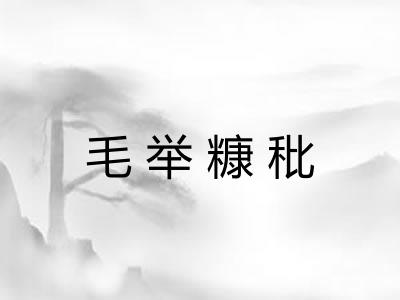 毛举糠秕