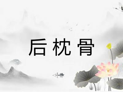 后枕骨