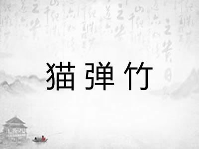 猫弹竹