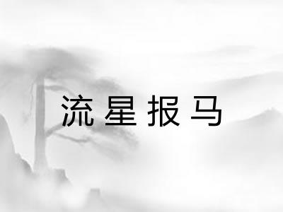 流星报马