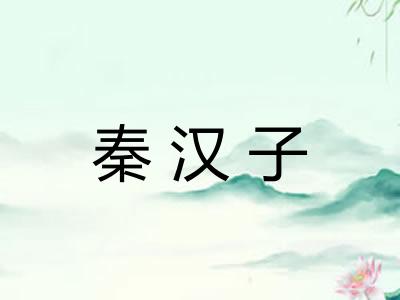 秦汉子