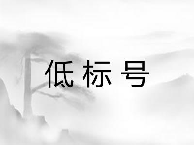 低标号