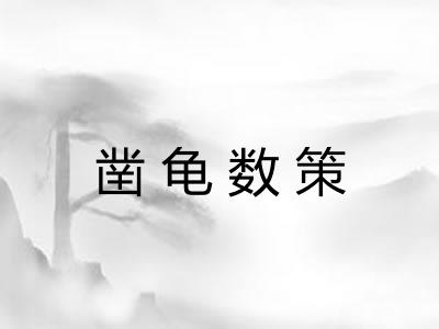 凿龟数策