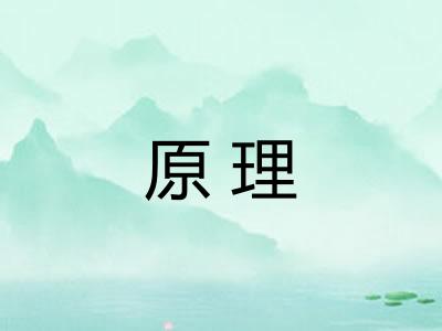 原理