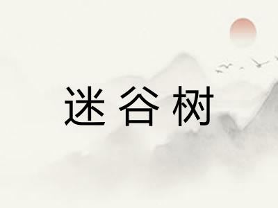 迷谷树