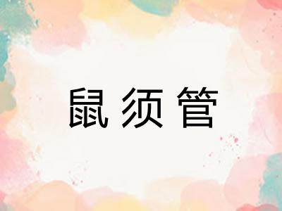 鼠须管