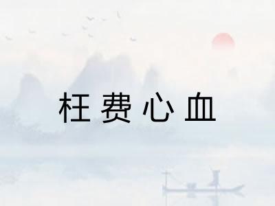 枉费心血
