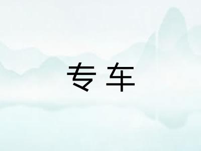 专车