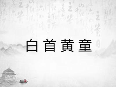 白首黄童