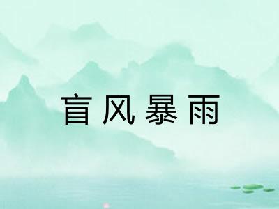 盲风暴雨