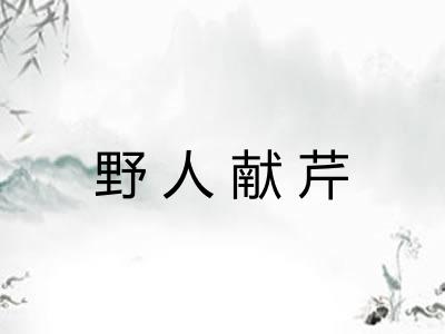 野人献芹