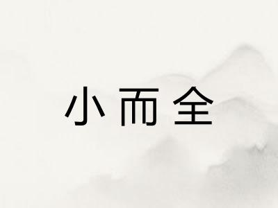 小而全