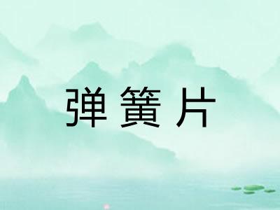 弹簧片
