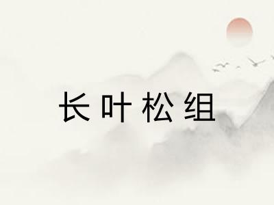 长叶松组