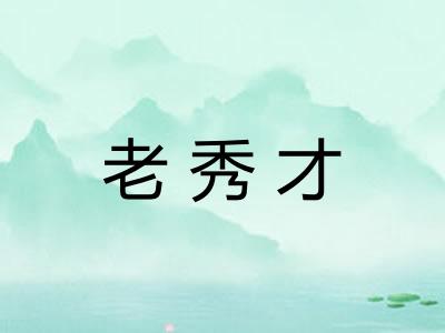 老秀才