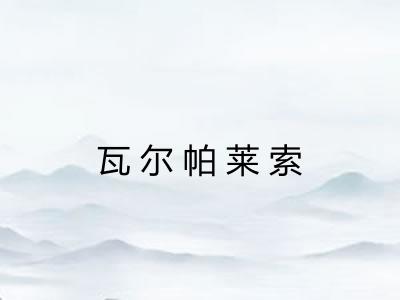瓦尔帕莱索
