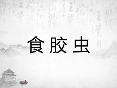 食胶虫