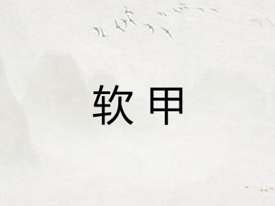 软甲