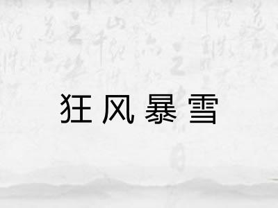 狂风暴雪
