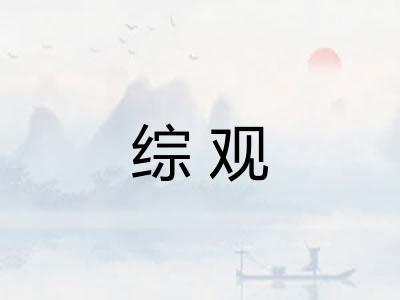 综观