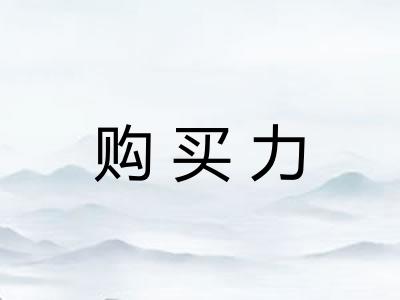 购买力