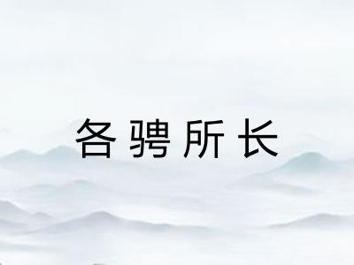 各骋所长