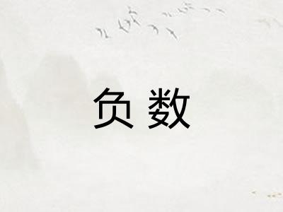 负数