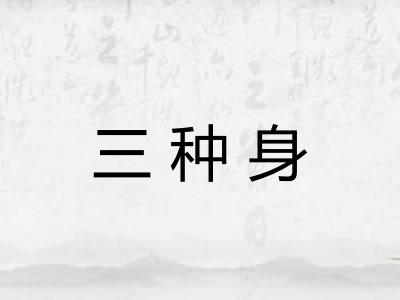 三种身