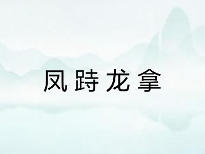 凤跱龙拿
