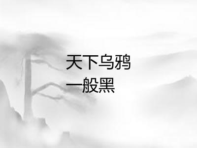 天下乌鸦一般黑