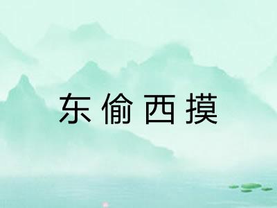 东偷西摸
