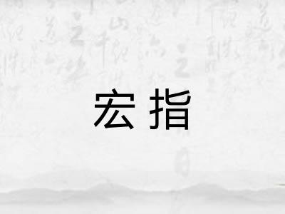 宏指