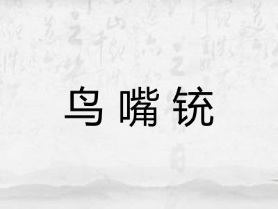 鸟嘴铳