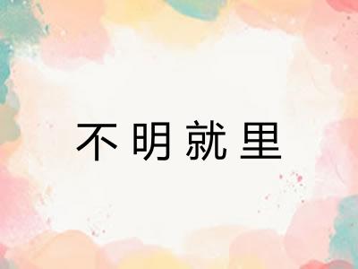 不明就里