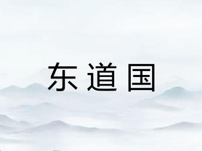 东道国