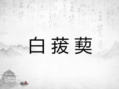 白菝葜