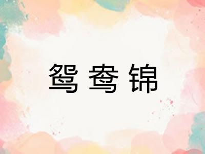 鸳鸯锦