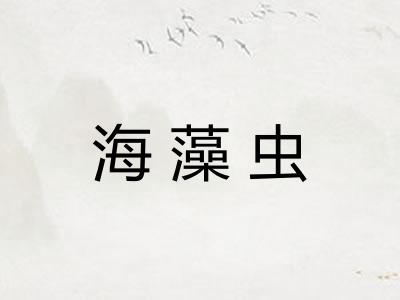 海藻虫