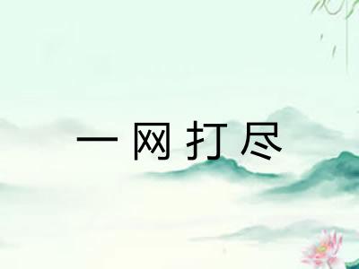 一网打尽