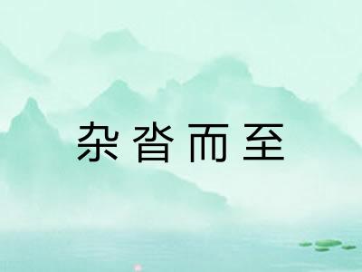 杂沓而至