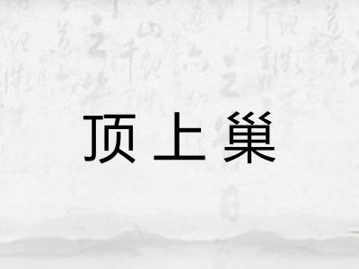 顶上巢